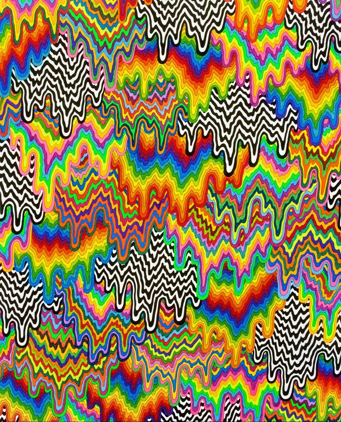 a psychedelic patterned drawn piece of art combining rainbow colors and black and white patterns
